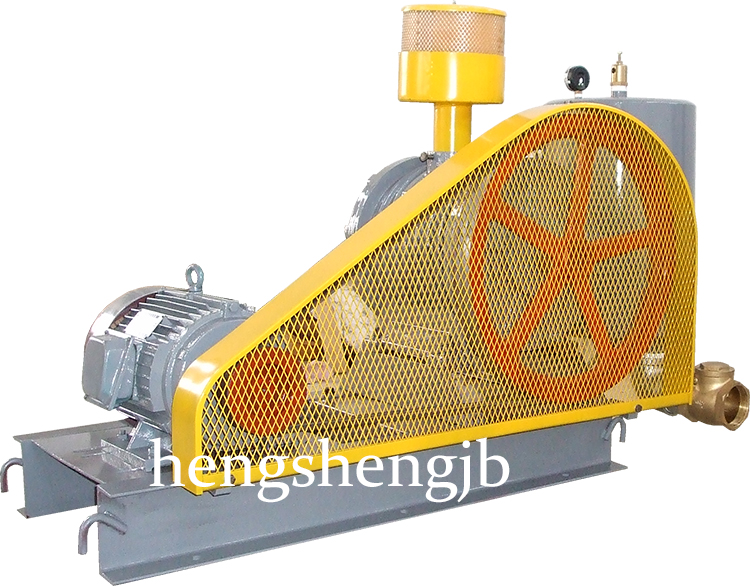 HC-125A水處理曝氣風(fēng)機-回轉(zhuǎn)式風(fēng)機